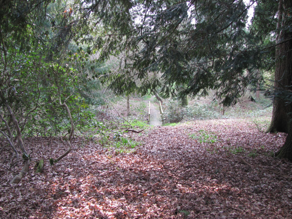 IMG_0295_Borde_Hill_Woodland_Walks.jpg - Warren Wood