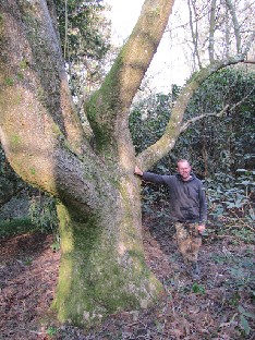 IMG_0319_Head_Gardener_Andy_Stevens_and_Magnolia_campbellii_1905