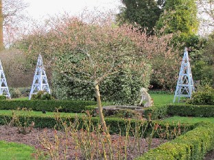 IMG_0352_Rose_Garden_early_spring