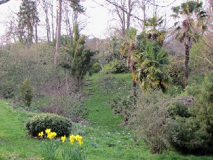 IMG_0369_Long_Dell