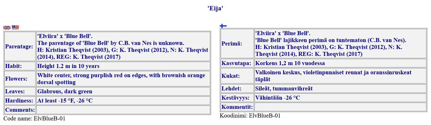 'Eija'