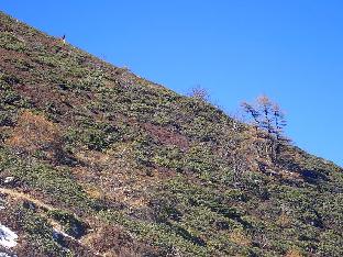 PB101609_1024px Mountain slope on Baima Shan, 4340 m