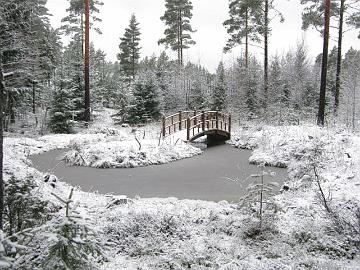Arboretumin lampi, saari ja kaarisilta maaliskuussa 2008.