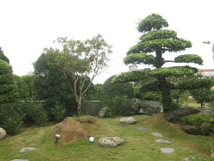 Tayouanin sairaalan puutarhassa.
In the garden of the Taoyuan hospital.