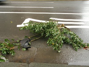 Mit�h�n tapahtui skootterin ajajalle?
What happened to the scooter driver?