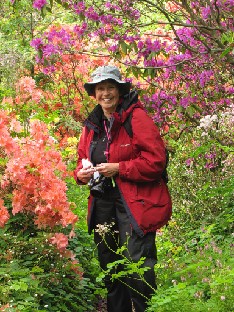 IMG_1844_Rosemary Rosemary Legrand among colorful azaleas and lepidotes