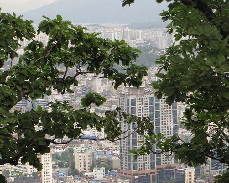 IMG_0900_Namsan_Seoul_Tower View from Namsan, Seoul