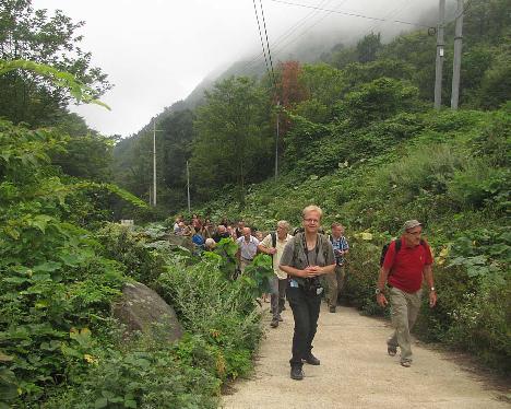 IMG_1598_walking_up_to_Taeharyeong_Ullung Walking up to Taeha-ryong, Ullung 360 m