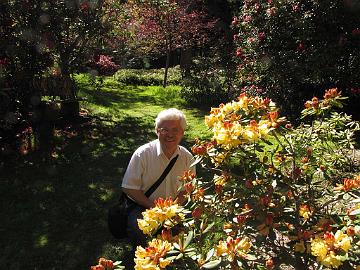 IMG_9183_Nancy_Evans_Meerkerk_Kristian Me and Rhododendron 'Nancy Evans', Meerkerk Gardens, Greenbank, Whidbey Island, Washington