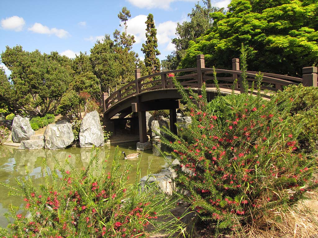 Usa And Canada 2013 San Jose Japanese Garden 130415