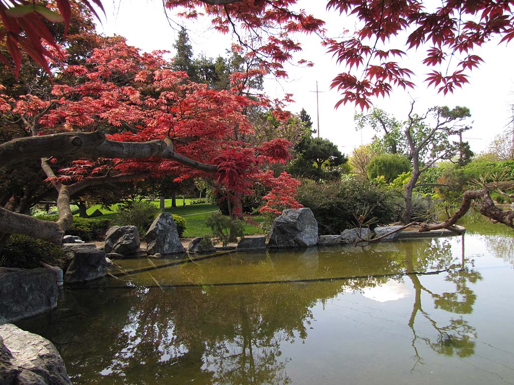 Usa And Canada 2013 San Jose Japanese Garden 130415