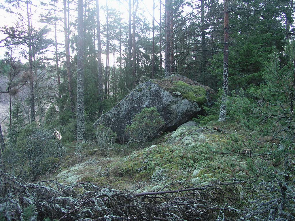 PC081632_iso_kivi_rinteella.jpg - Valtava kivenjrkle metsrinteell. A huge block of stone on the forest slope.