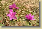 'Karin Seleger'