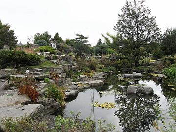 P9274327_1024px Alpine garden