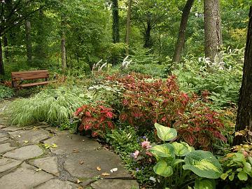 P9274417_1024px Shade Garden