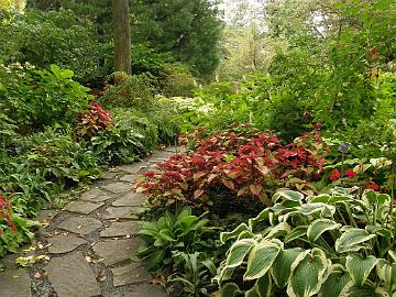 P9274425_1024px Shade Garden