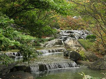 P9274438_1024px Japanese Garden