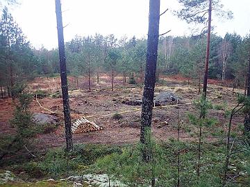 P3021277_lammen_alue_merkattuna_1024px I cut down all trees and bushes and marked the pond with yellow ribbon. 2-Mar-2020 Kaadoin alueelta kaikki puut ja pensaat, ja merkitsin lammen keltaisella...