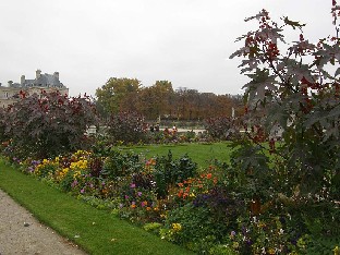 PA251911_Jardin_du_Luxembourg