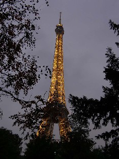 PA241888_dendrologin_Eiffel Eiffel
