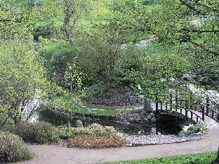 P5090869_Bergianska_japanilainen Japanese garden Japanilainen puutarha