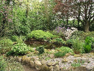 P5131151_Hvidbjerg_lampi Pond in the garden Puutarhan lampi