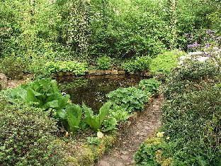 P5131152_Hvidbjerg_lampi Pond in the garden Puutarhan lampi
