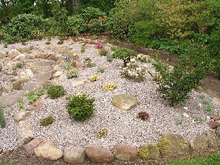 P5131157_Hvidbjerg_kivikkopuutarha Beautiful gravel garden Kauniita soraistutuksia