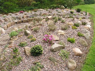 P5131158_soraistutuksia Beautiful gravel garden Kauniita soraistutuksia