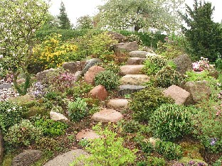 P5121068_kivikkopuutarhaa Stone path up the hill Kivipolku huipulle