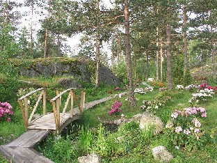 P6212091_puutarhan_pohjois-osa_1024px My modest and young garden later in the summer 2004 Vaatimaton ja nuori puutarhani myöhemmin kesällä 2004