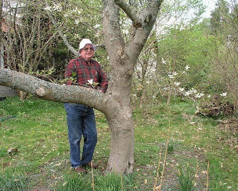 Anders Blomqvist, Hammarö