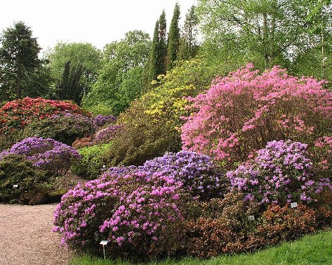 Gothenburg Botanical Garden