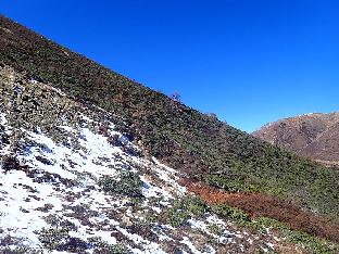 PB101608_1024px Mountain slope on Baima Shan, 4340 m