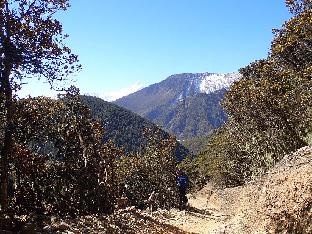 PB081335_1024px On the path up the Gongkahu Mountain, 3750 m