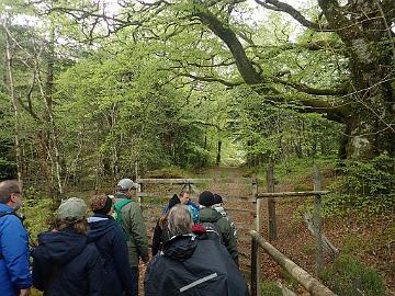 P5082789_Baravalla_1024px The group entering the gate to Baravalla Gardens