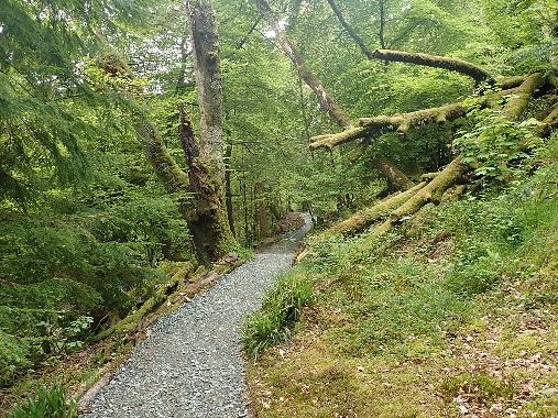 Ardkinglas Woodland Garden