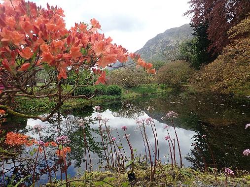 Benmore Botanic Garden