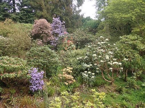 Glendoick Gardens