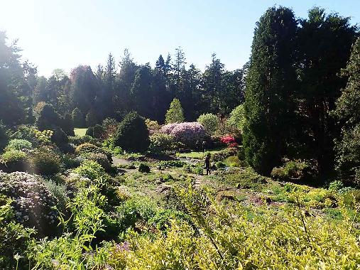 St Andrews Botanic Garden