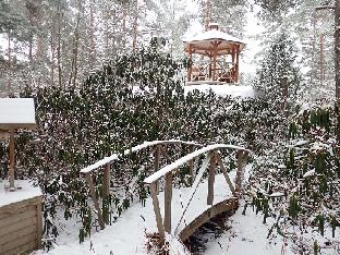 PC081129_Rhodogarden_snow_bridge_gazebo_1024px