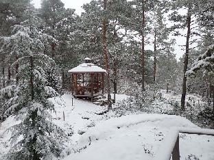 PC081132_Rhodogarden_snow_gazebo_1024px