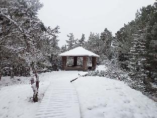 PC081133_Rhodogarden_snow_old_gazebo_1024px