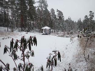 PC081141_Rhodogarden_snow_pond_gazebo_1024px