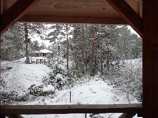 PC081146._Rhodogarden_snow_view_from_gazebo_1024px