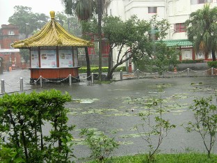 P9134066_Taipei_Bot_lummelampi_tulvii The water-lily pond in front of the botanical garden overflowed to the pavement. Kasvitieteellisen edustan lummelampi tulvi jalkakäytäville.