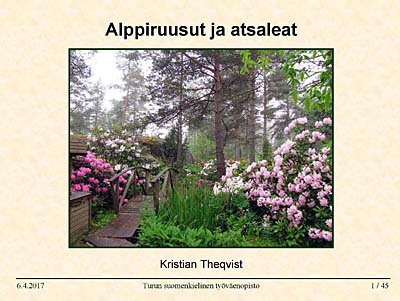 Hybridisering av härdiga rhododendron och azaleor