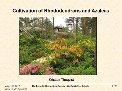 Hybridisering av härdiga rhododendron och azaleor