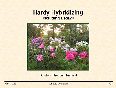 Hardy hybridizing inc Ledum