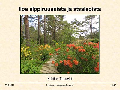 Hybridisering av härdiga rhododendron och azaleor